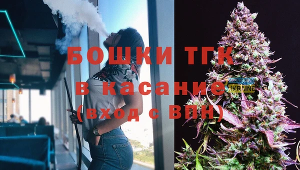 индика Алексеевка