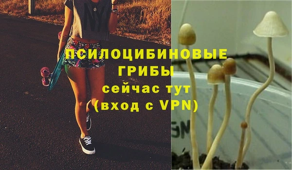 ECSTASY Алексин