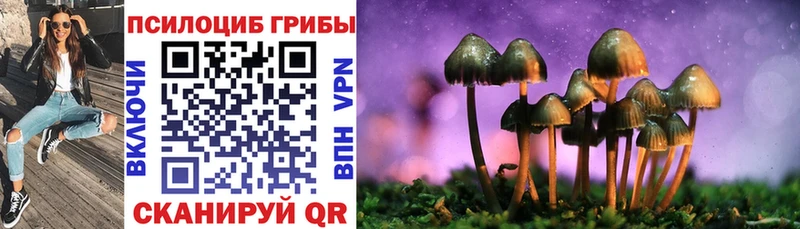 Галлюциногенные грибы Psilocybe  Ишимбай 