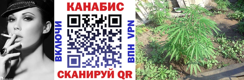 Бошки Шишки гибрид  Ишимбай 